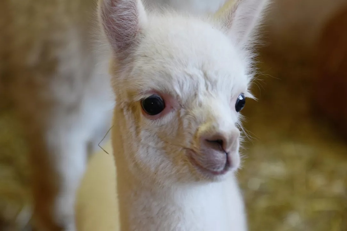    Фото: Игорь Онучин, источник РИА Новости