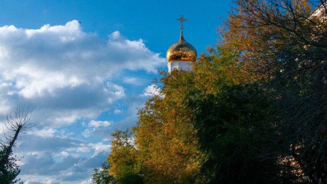    Фото: Svetlana Vozmilova/Globallookpress