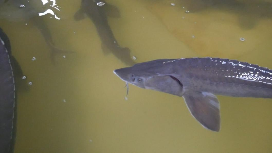 Фото: ИА "Тюменская линия"