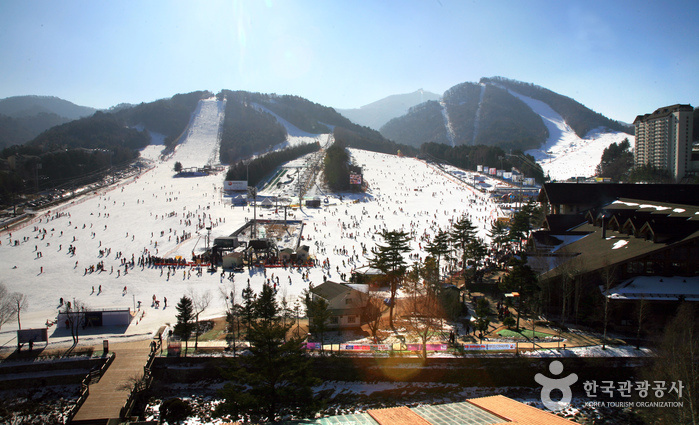 Yongpyong Ski Resort (용평리조트 스키장). Источник: Korea Tourism Organization.