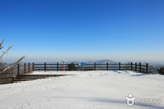 Yongpyong Ski Resort (용평리조트 스키장). Источник: Korea Tourism Organization.