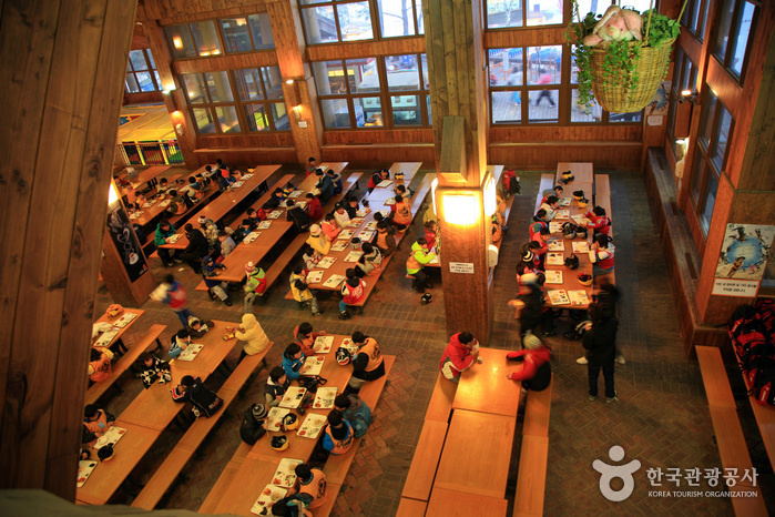 Yongpyong Ski Resort (용평리조트 스키장). Источник: Korea Tourism Organization.