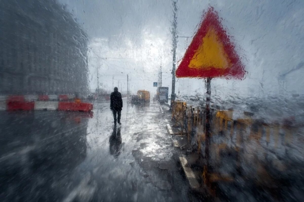    Мертвым нашли водителя, сбежавшего в лес после ДТП на Борской дамбе