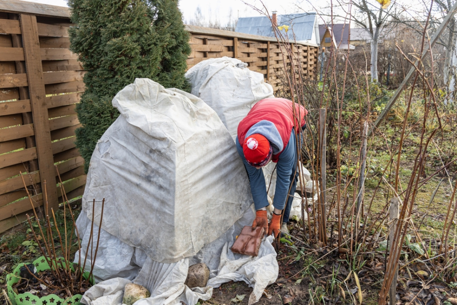    Shutterstock/FOTODOM