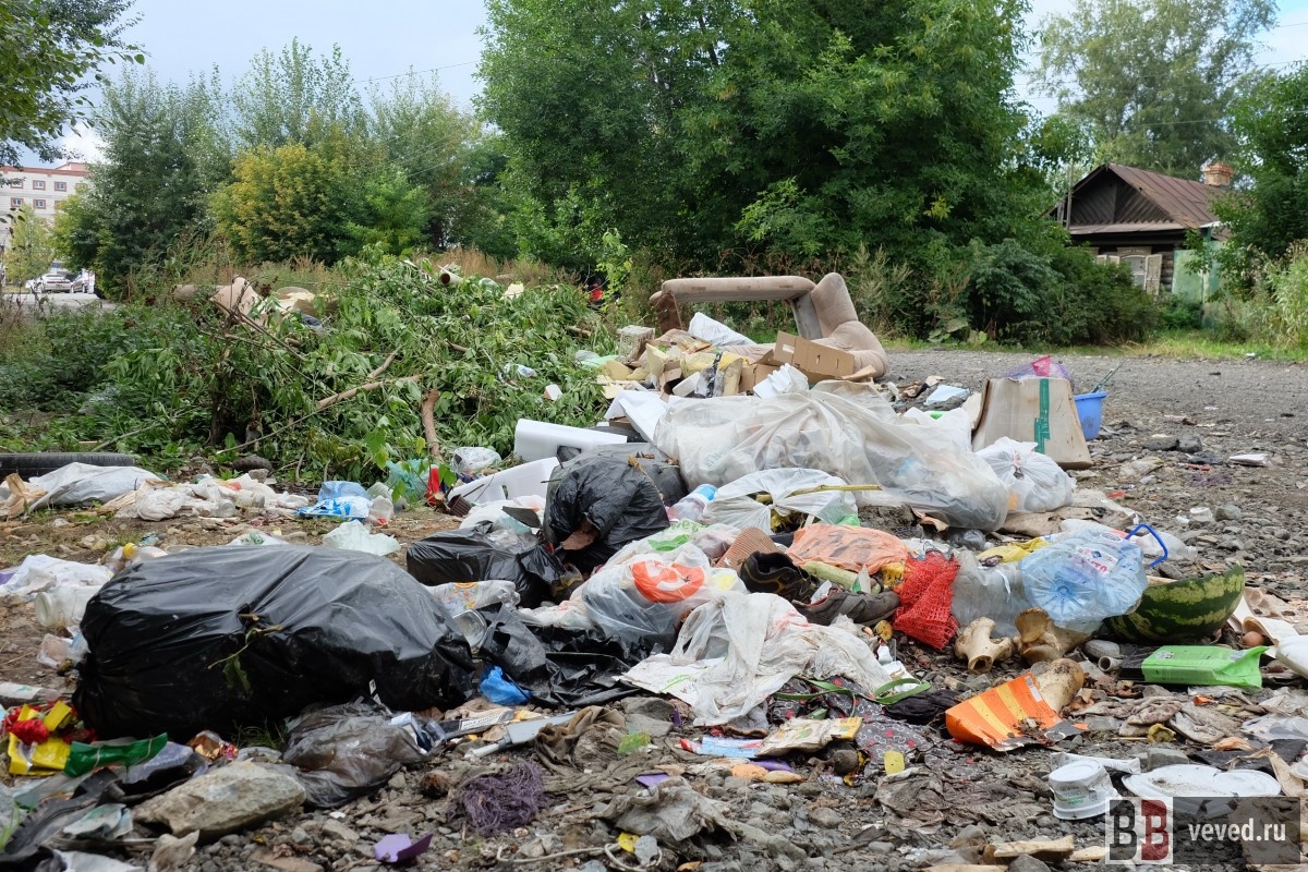     Архивный снимок. Фото: Вечерние ведомости