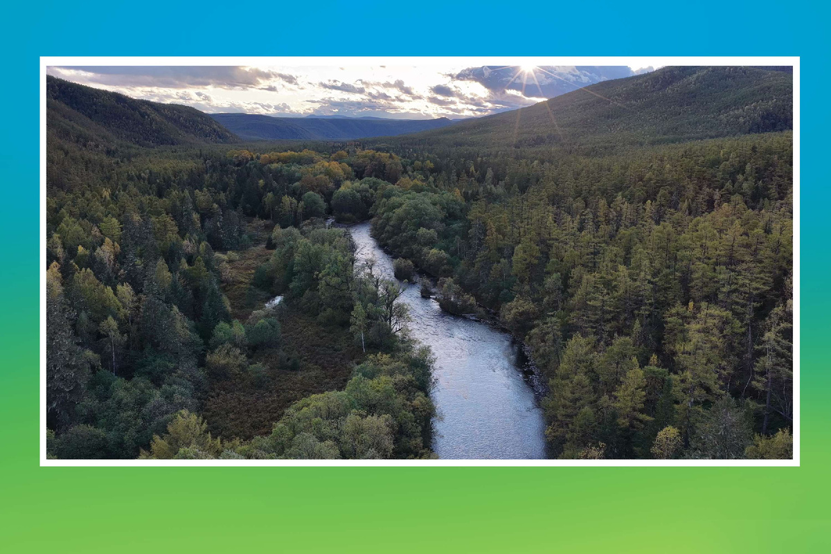 Бескрайние просторы дальневосточной тайги. Фото Юрия Шарапова