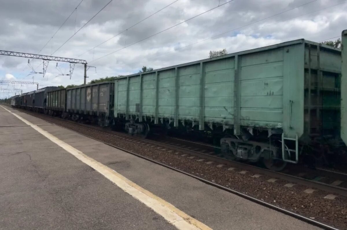    В Ленобласти из-за схода вагонов задержаны 18 поездов