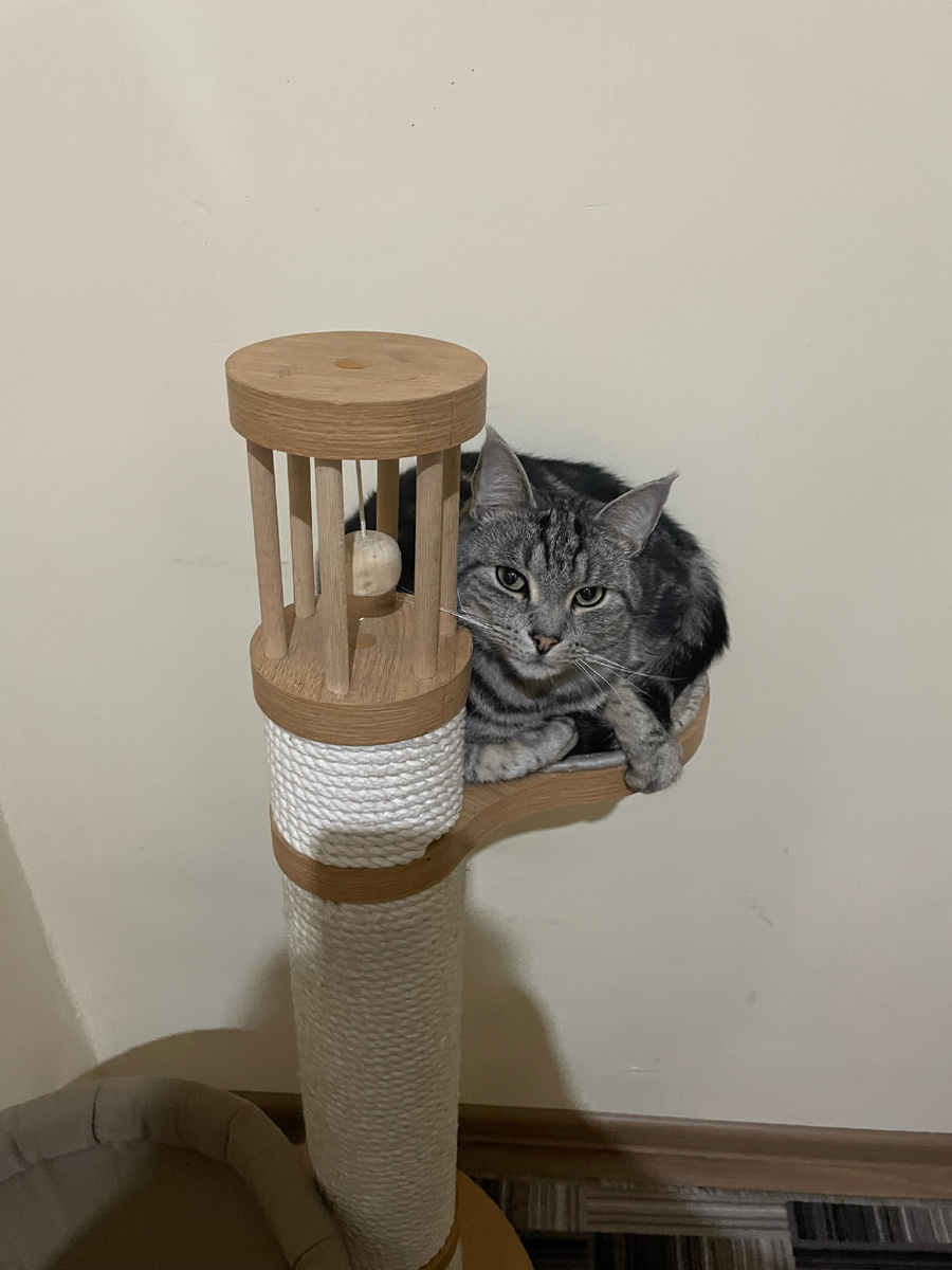 Вот этот шарик его колотушка.