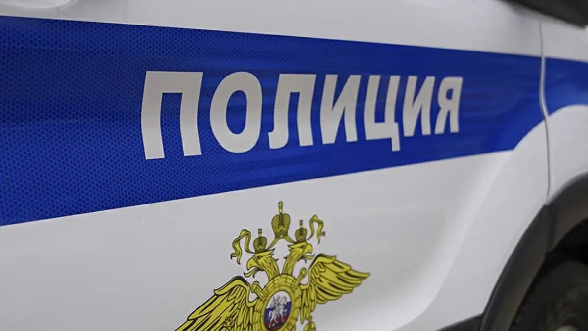    Полиция. © Портал «МВД Медиа»