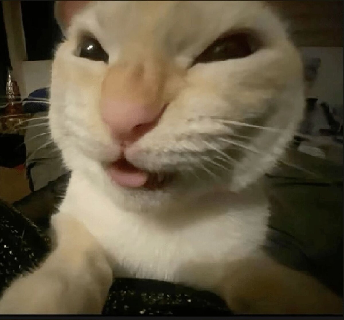 -Врёшь! Не возьмёшь!