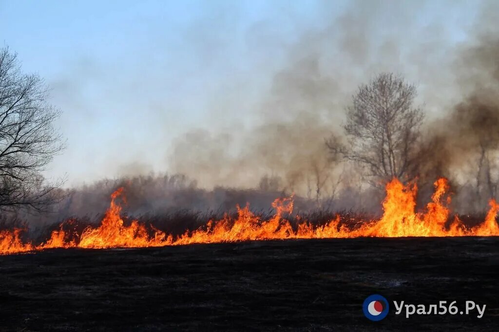    Администрацию сельсовета под Оренбургом оштрафовали на 400 тысяч за пожар — вспыхнула сухая трава