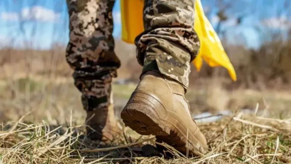    Фото: OlhaTsiplyar/Shutterstock/Fotodom