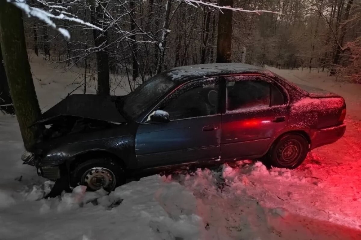    В Новосибирске Toyota врезалась в дерево – пострадали два человека