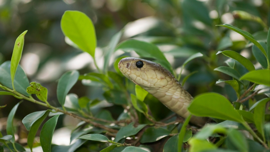    Фото: www.globallookpress.com/Andreas Rose