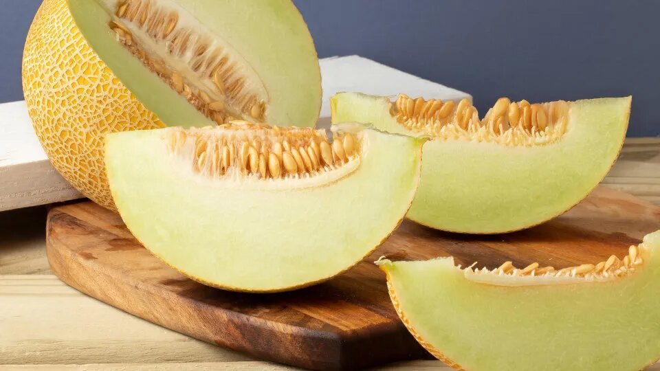 Фото взято из открытого источника