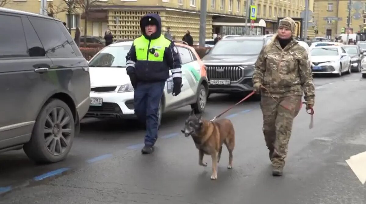   Фото: кадр видео ГУ МВД по Петербургу и Ленобласти