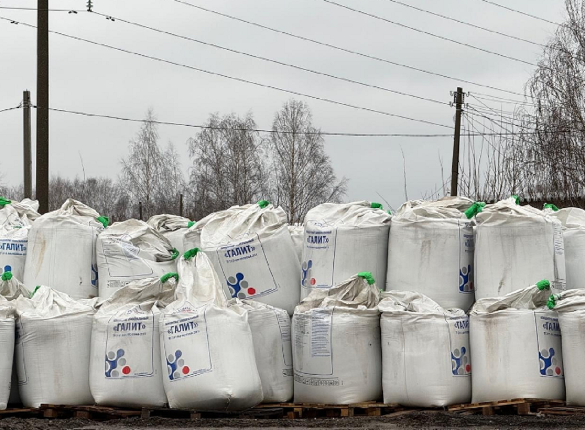    Фото: мэрия Йошкар-Олы