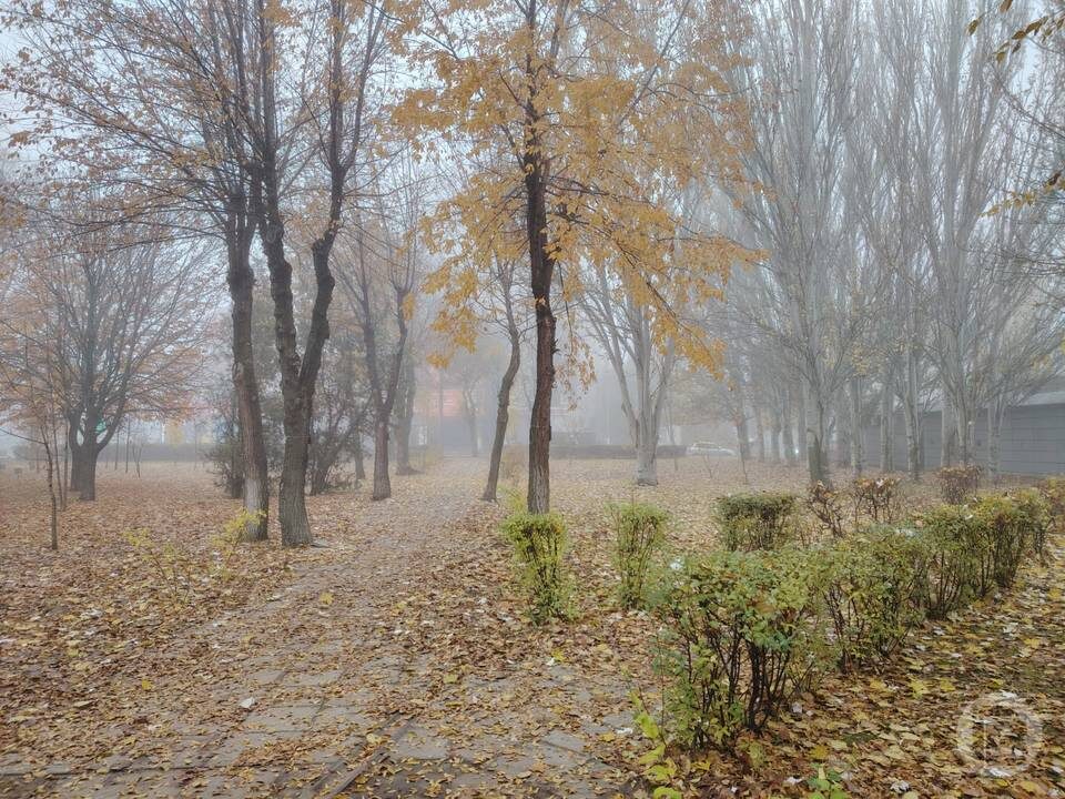    Фото: "Городские вести"