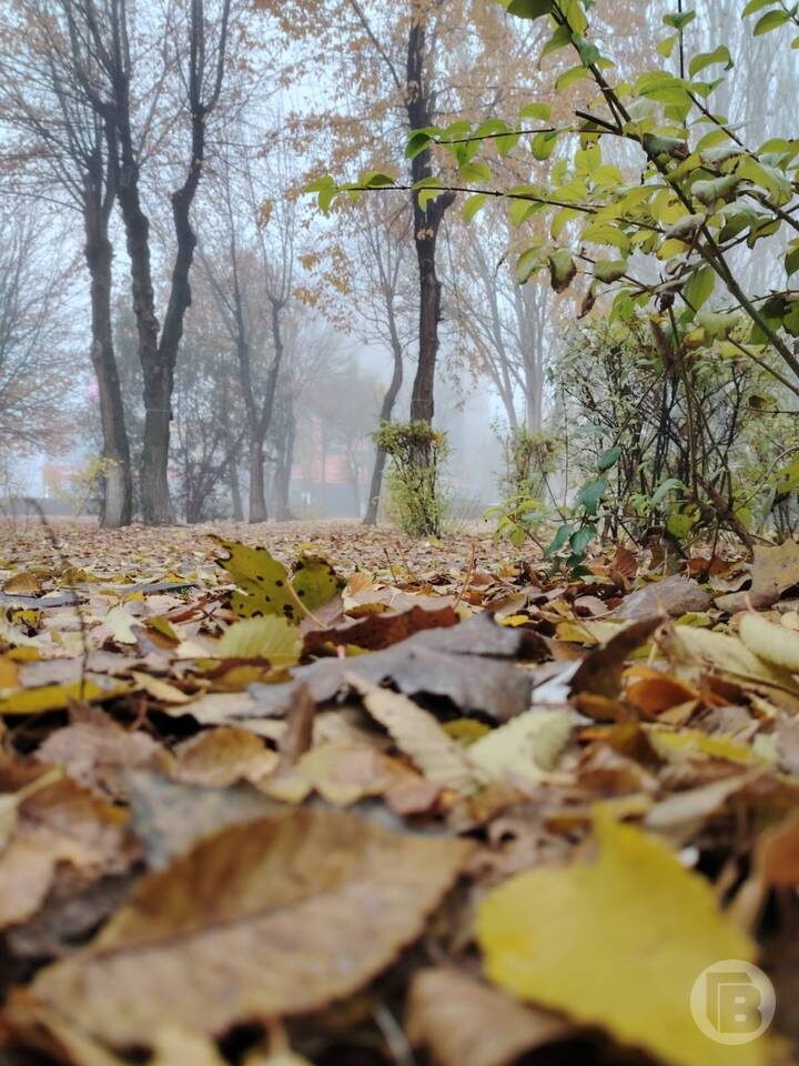    Фото: "Городские вести"