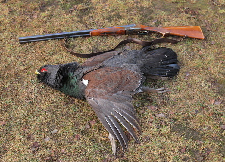 Что мы знаем о культуре охоты? От подранка до бытового мусора