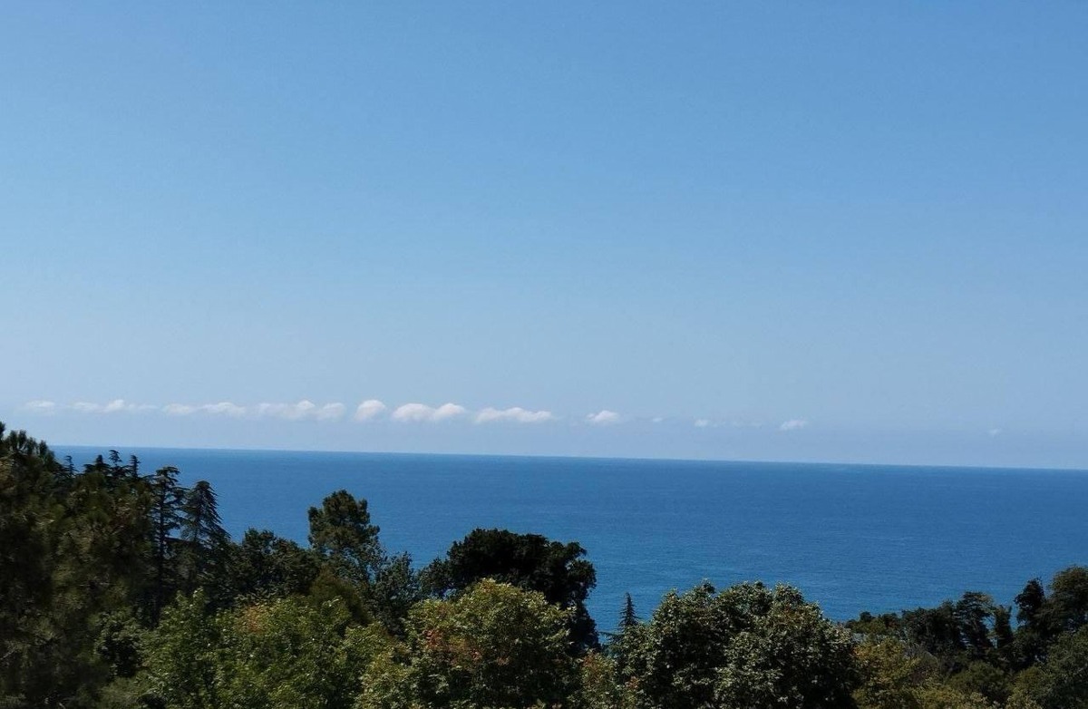    Фото: Сочи24 (Лидия Виленская)