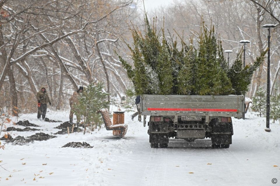    Парк имени Ленина. Источник: barnaul.org