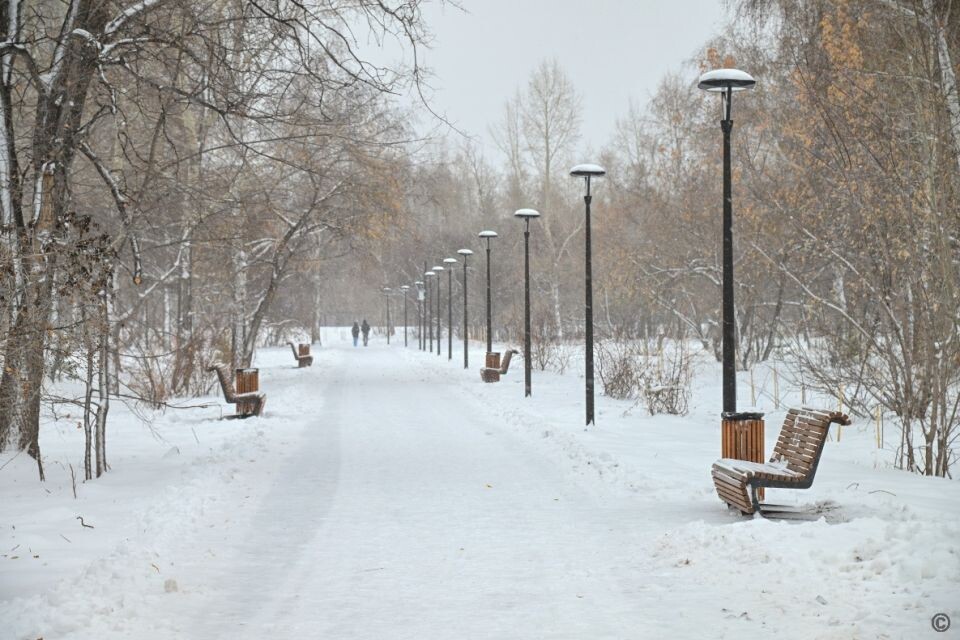    Парк имени Ленина. Источник: barnaul.org