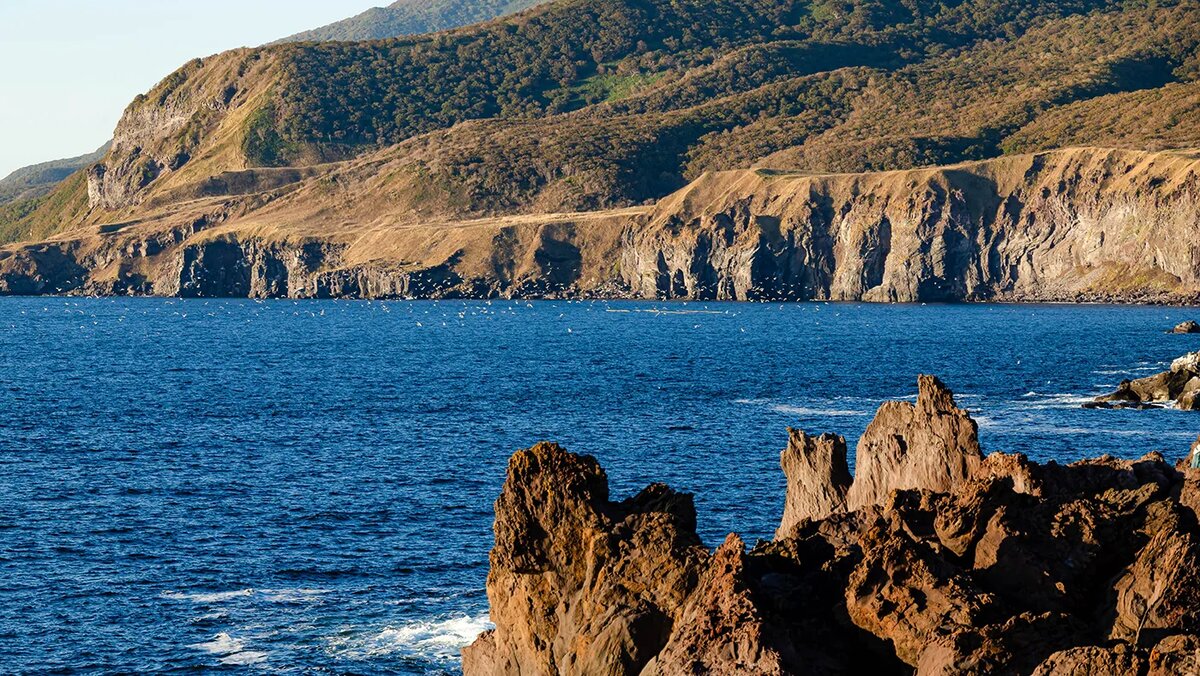   Юрий Смитюк / ТАСС- Остров Итуруп, Курильские острова, Сахалинская область, Россия