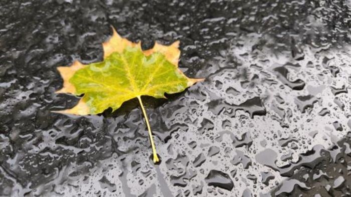 Иллюстрация: © «Панорама»