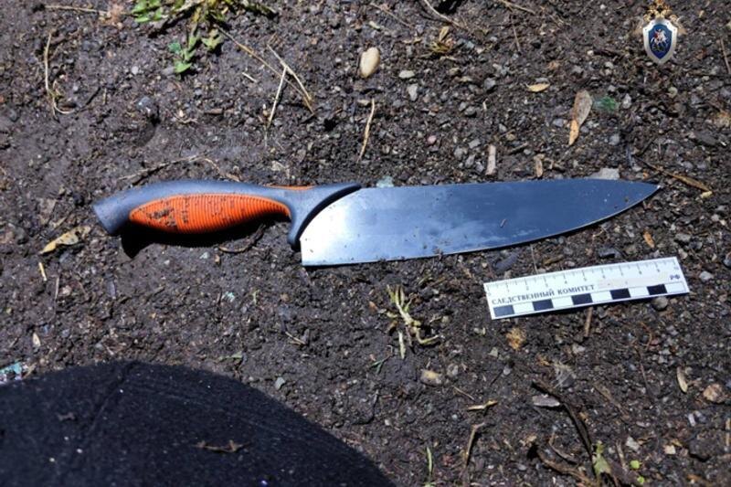    СУ СКР по Челябинской области. Нож, которым бездомный резал школьника