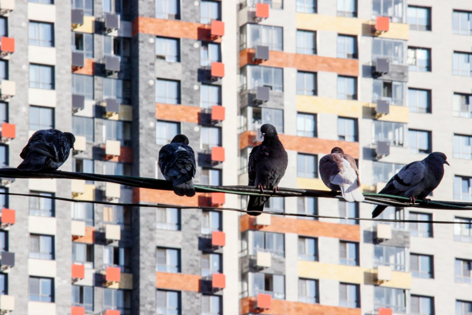    Сергей Лантюхов/NEWS.ru