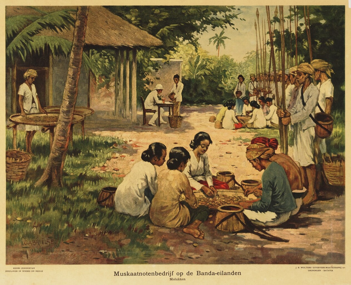 Сбор мускатного ореха. Школьный плакат для преподавания географии. 1912. 