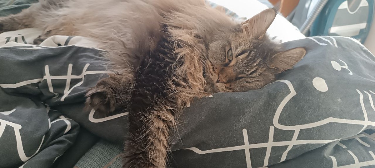 Вот так я иногда лежу. Только тут я недовольновая