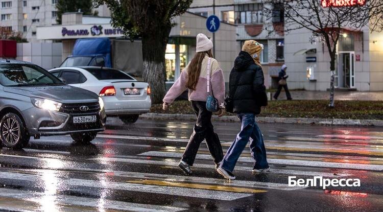 Фото: Алексей Дацковский (архив)