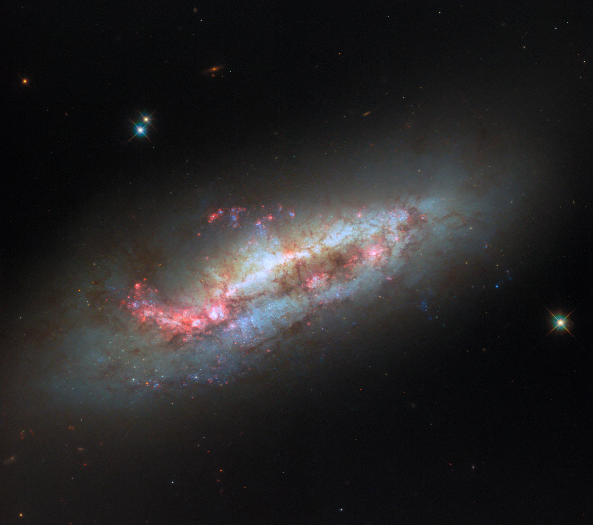 Пекулярная спиральная галактика NGC 1511. Источник: ESA/Hubble & NASA, D. Thilker