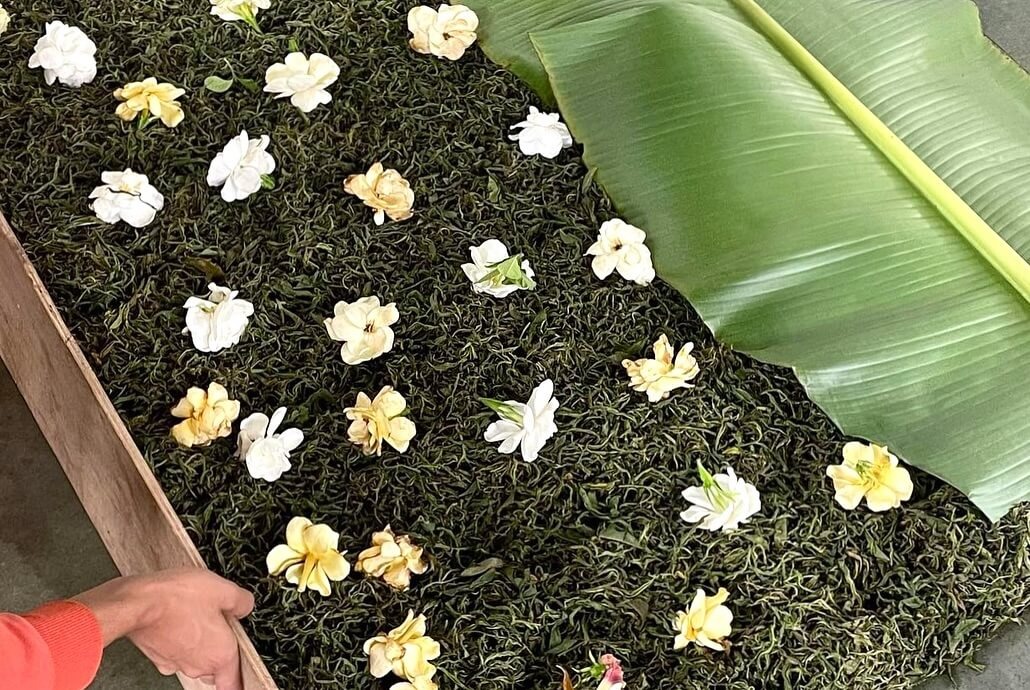 Производство инфьюзд чая с гарденией: перед ферментацией на чайные листья выкладывают цветы и накрывают банановыми листьями. © Соцсети teajob