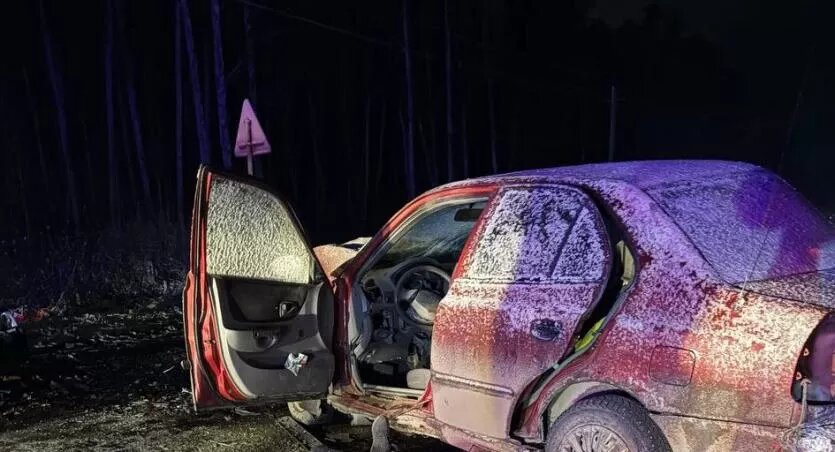 Фото: Поисково-спасательная служба Челябинской области