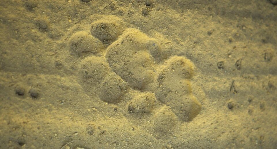    W. Layer/blickwinkel / www.globallookpress.com