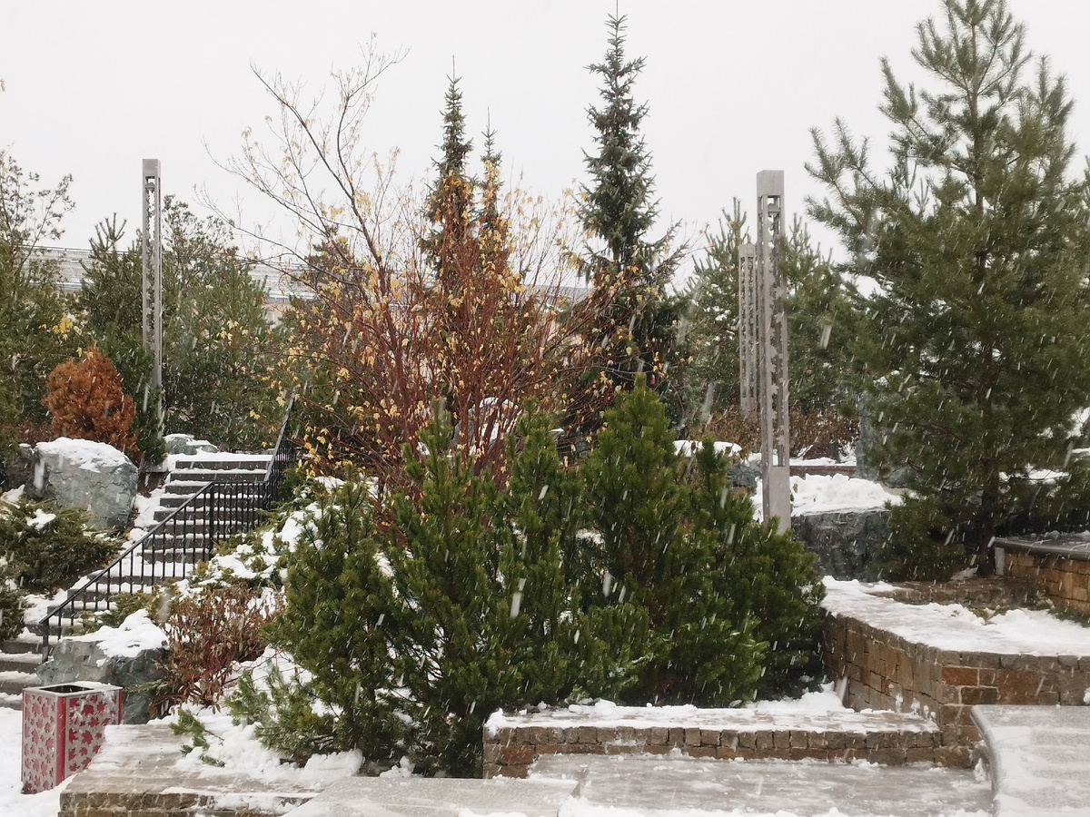 Вышла специально сегодня на улицу, чтобы сделать фотографии для варианта "Снежинки" - вернулась вся мокрая. Там ужас что творится: сверху летят в лицо хлопья снега, снизу всё это превращается в хлюпающую жижу. 