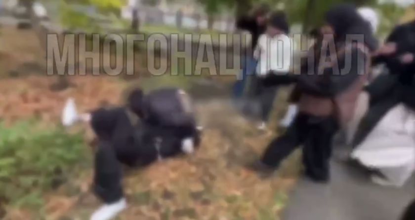 фото: скриншот видео соцсети