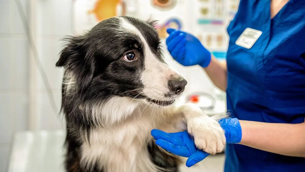    Фото: vm.ru Мария Михайлова