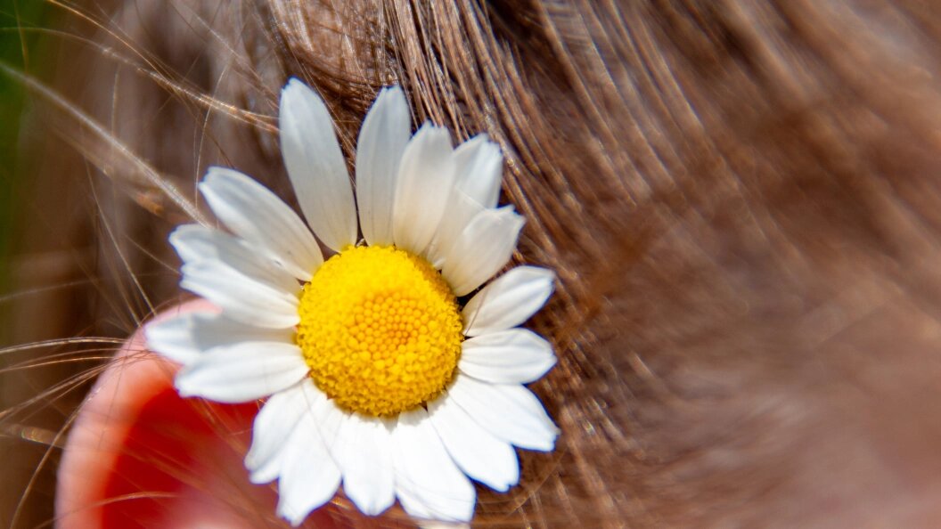    Фото: Svetlana Vozmilova/Globallookpress