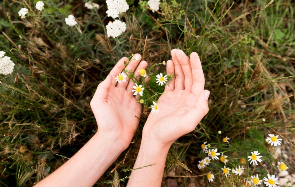 Фото с сайта: freepik.com