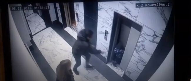    Фото: кадр из видео