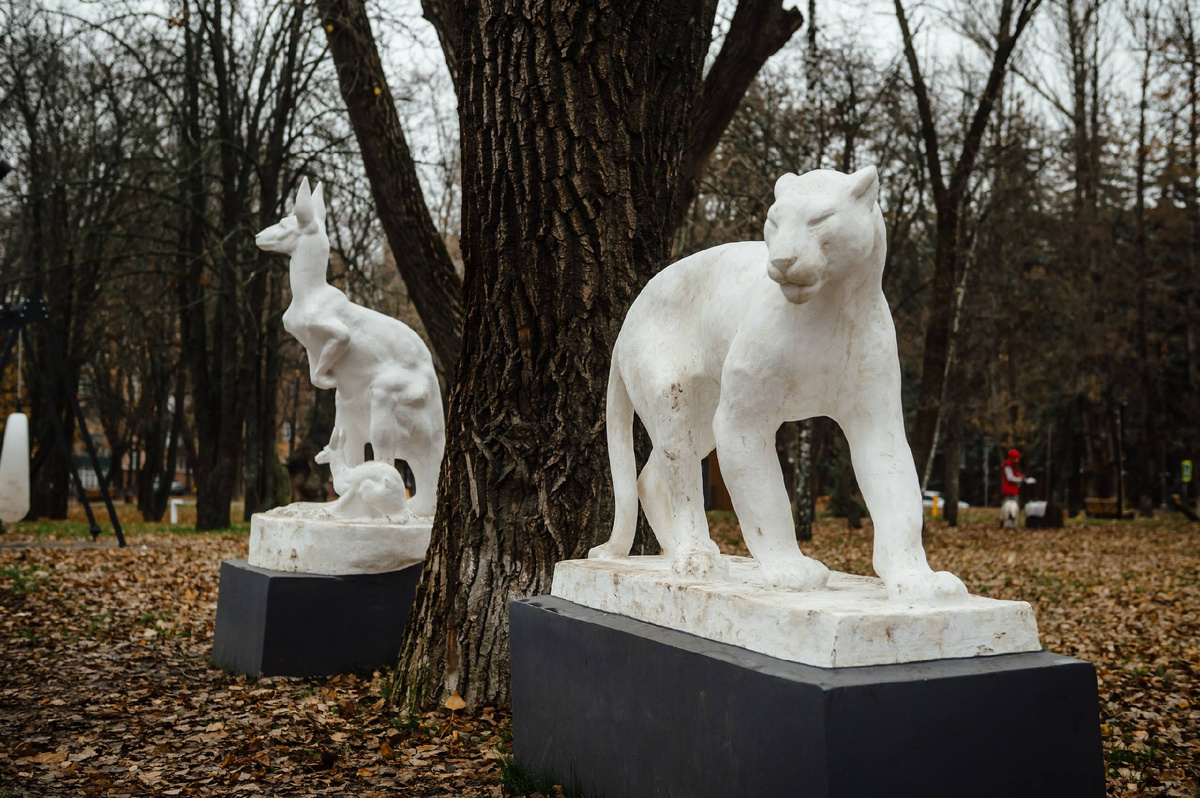 Фото: тг-канал Александра Хинштейна