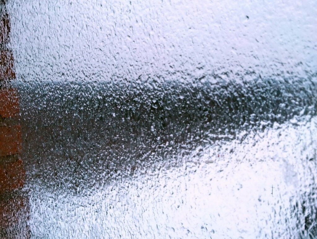    Анастасия Петрова