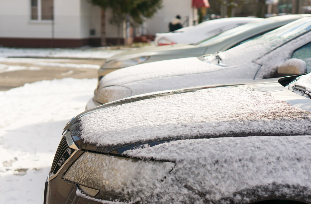 Фото: freepik / wirestock