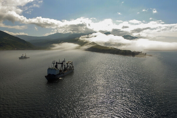 Данил Годлевский/РИА Новости  