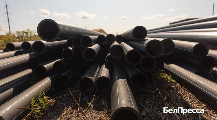 Фото: Алексей Дацковский (архив)