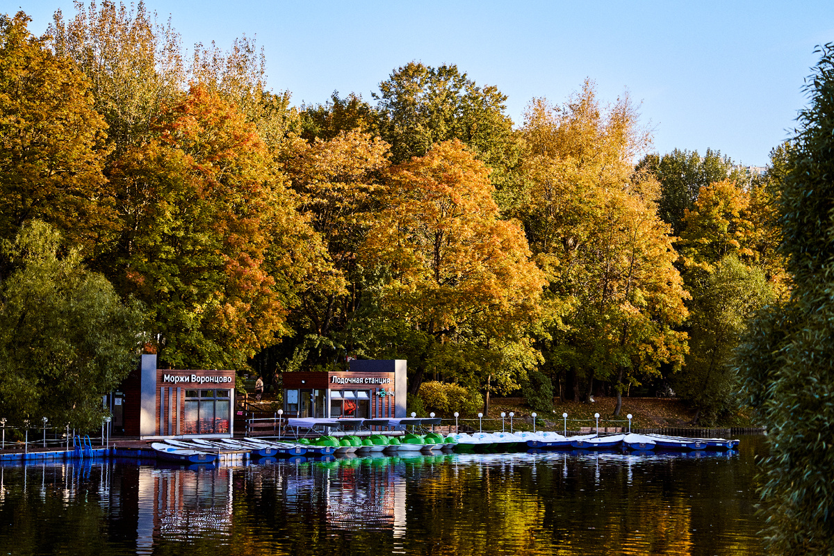 Большой Воронцовский пруд в усадьбе Воронцово